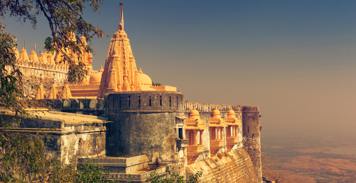 Beaches and Wildlife